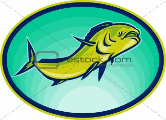dolphin fish or mahi mahi