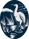 Heron wading in the marsh or swamp 