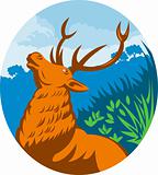 Roaring red stag deer with forest 