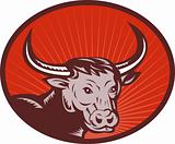 texas longhorn bull 