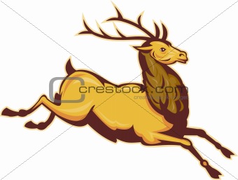 Stag deer or buck jumping