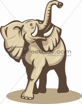 african bull elephant charging attacking