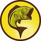 Largemouth Bass fish jumping