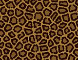 Seamless tile leopard fur background