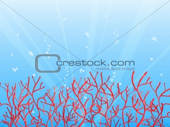 red coral in blue ocean