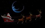 Santa Claus and his Reindeers 2