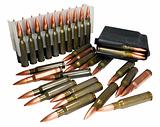 Hunting cartridges of caliber  .308 Win 