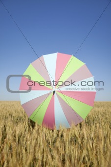 Umbrella at wheat field