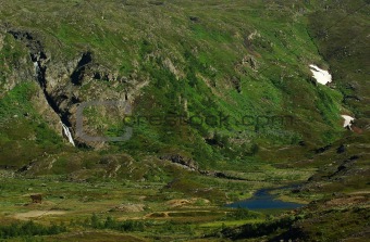 Green Hillside in Norway