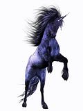 blue Unicorn