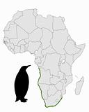 African penguin range