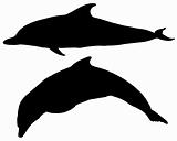Dolphins silhouettes