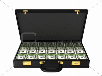 Case with bundles of 100$ banknotes