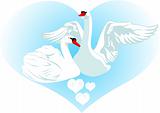 Love and swans