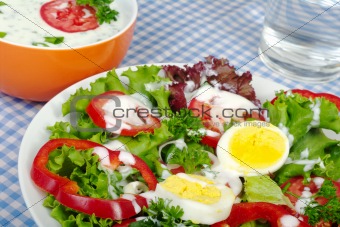 Salad with Yoghurt Dressing