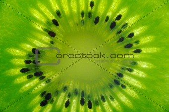 Macro Shot of a Kiwi Slice