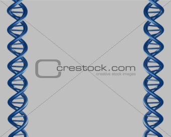 DNA border