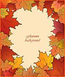 Autumn card with maple