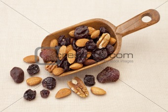 nuts and dried berries