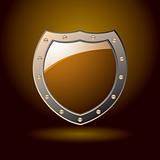 Secure shield blank