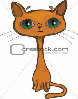 Isolate single sad brown cat with green eyes