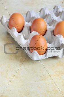 Eggs in cardboard