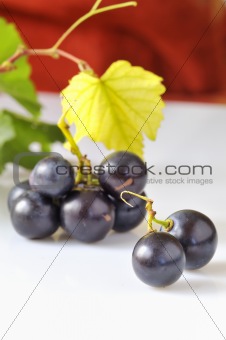 grape on white