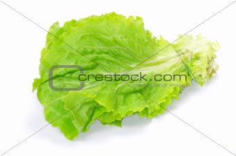 green salad 