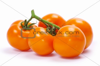  tomato 