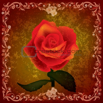 abstract grunge illustration with rose