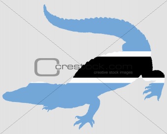 Crocodile Botswana