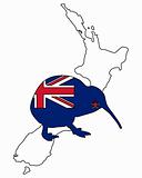 Kiwi of New Zealand