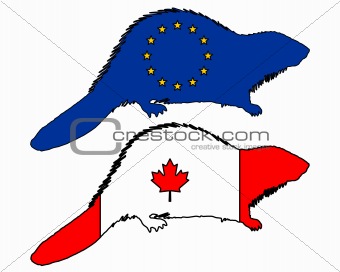 European and canadian beaver