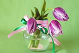 Delicate bouquet of purple tulips