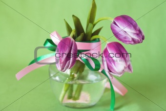 Delicate bouquet of purple tulips