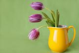 Delicate bouquet of purple tulips in a yellow jug