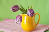Delicate bouquet of purple tulips in a yellow jug