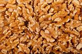 walnut seeds background