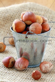 hazelnuts in a bucket on a natural background