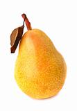 Yellow ripe pear on white background