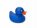 Blue rubber ducky