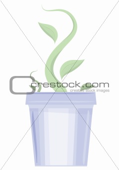 Flower pot with the germ