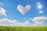 Clean sky and green field with abstract cloud heart.