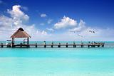 Caribbean tropical beach cabin pier Contoy island