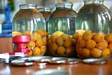 Jars with apricots