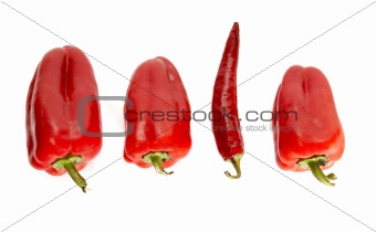Line of peppers