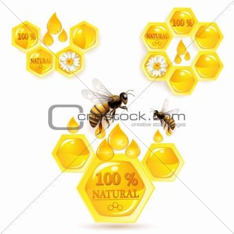 Honeycombs and bees
