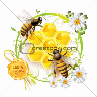 Two bees and honeycombs