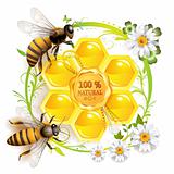 Two bees and honeycombs