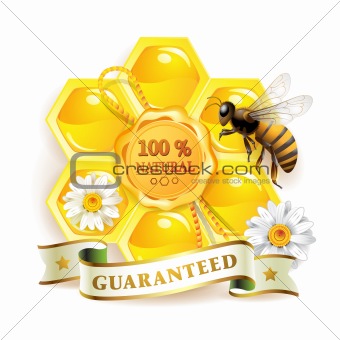 Bee with honeycombs